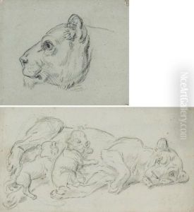 Une Tete De Lion Vu De Profil
Vers La Gauche; Et Une Lionne Allongee Avec Ses Deux Petits Lionceaux by Jean-Baptiste Huet