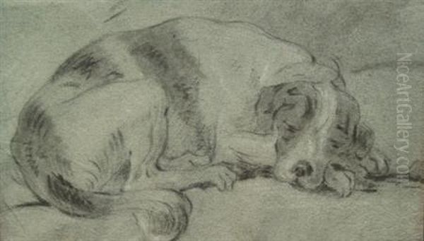 Sleeping Dog - view 1