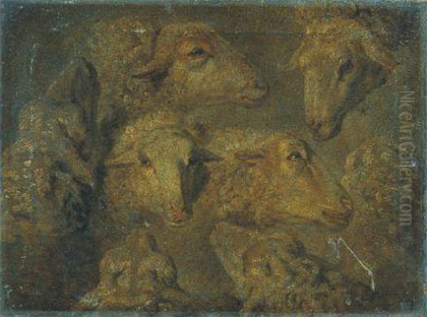 Etude De Tetes De Moutons - view 1