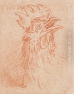 Une Tete De Coq by Jean-Baptiste Huet