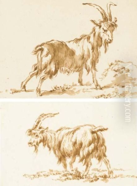 Une Chevre De Profil A Droite; Et Une Chevre De Profil Agauche - view 1