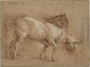 Studies Of Sheep by Jean-Baptiste Huet