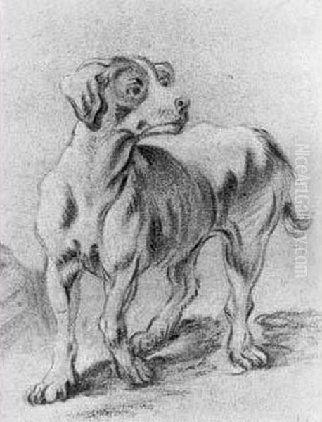 Etude De Chien - view 1