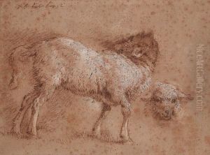 Study Of A Sheep And A Sheep's Head Study Of A Sheep And A Sheep's Head
