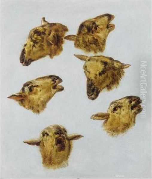Etudes De Tetes De Moutons - view 1
