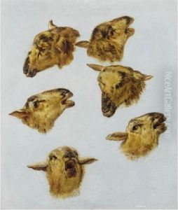 Etudes De Tetes De Moutons by Jean-Baptiste Huet