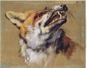 Tete De Renard
