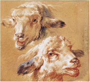 Deux Etudes De Tetes De Moutons by Jean-Baptiste Huet