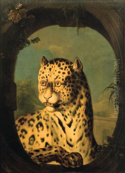 An Ocelot - view 1