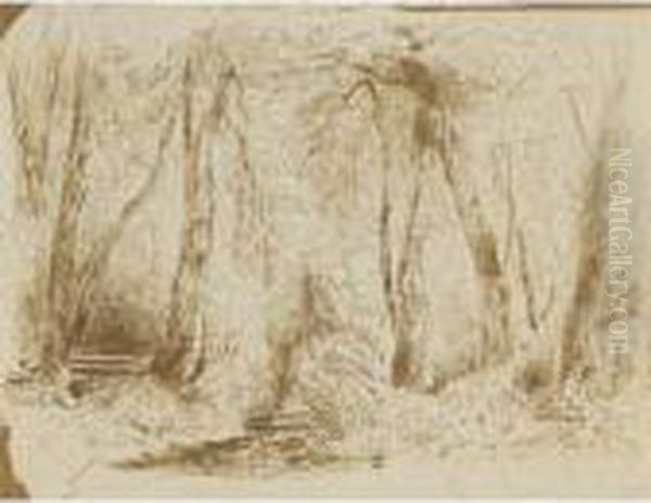 Paysages - view 1