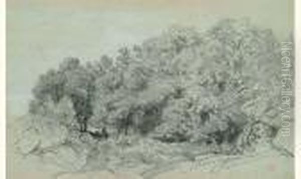 Arbres Et Rochers Pres Du Dormoir En Foret De Fontainebleau, Vers 1865 - view 1