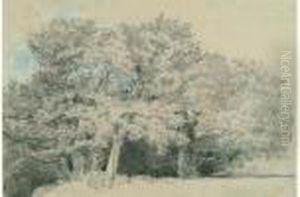 Quatre Grands Arbres, Foret De Fontainebleau, Circa 1855 by Paul Huet