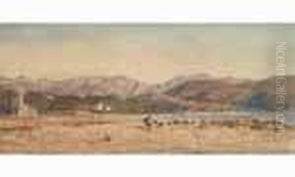 Nice, Berger Et Son Troupeau Pres Du Rivage - view 1