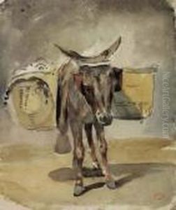 A Donkey A Donkey