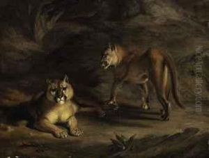 Two Pumas by William Huggins