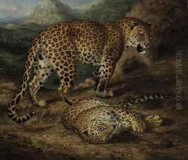 Two Leopards - view 1