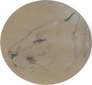 Lioness