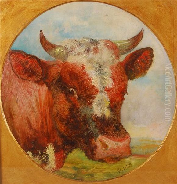 Studyof A Cows Head - view 1