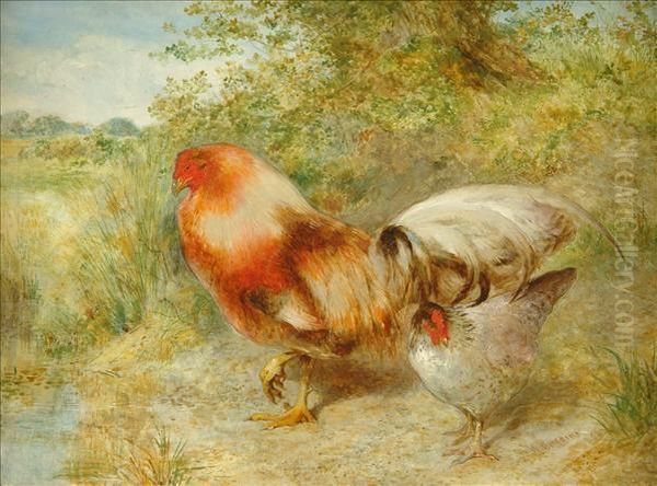 Poultry In A Landscape - view 1