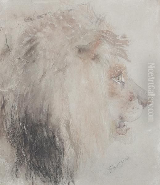 Study Of A Lion's Head - view 1