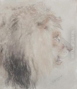 Study Of A Lion's Head by William Huggins
