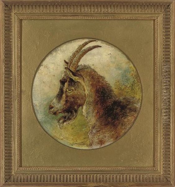 Head Of A Billy Goat - view 1