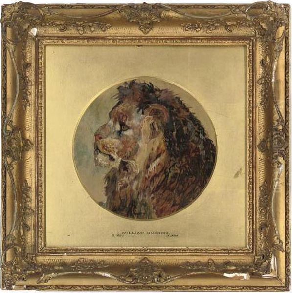 Head Of A Lion - view 1