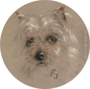 A Yorkshire Terrier