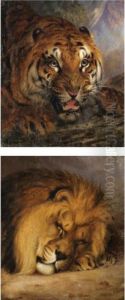 A Bengal Tiger; And A Sleeping Lion by William Huggins