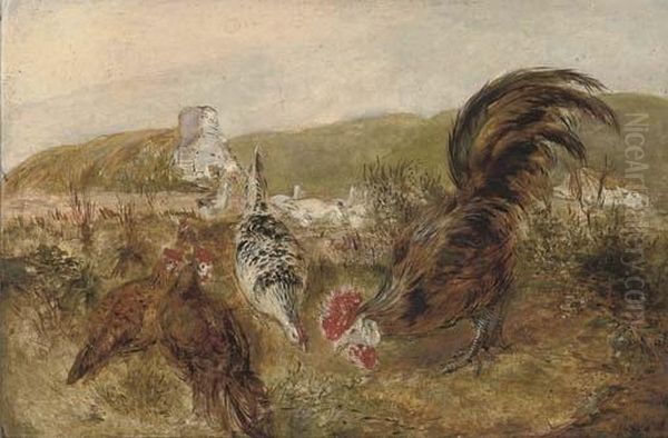 Pecking Order - view 1