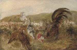 Pecking Order by William Huggins