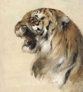 A Bengal Tiger by William Huggins