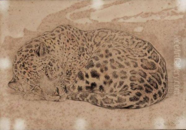 A Leopard - view 1
