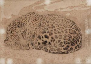 A Leopard