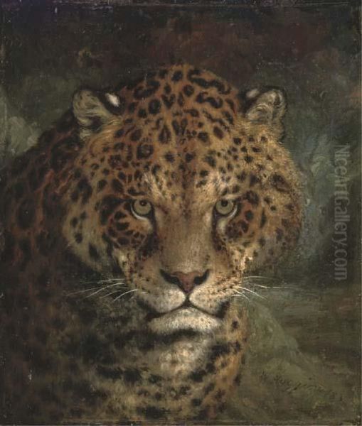 A Jaguar - view 1