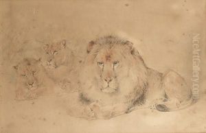 The Pride Of Lions by William Huggins