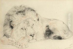 Sleeping Lion by William Huggins