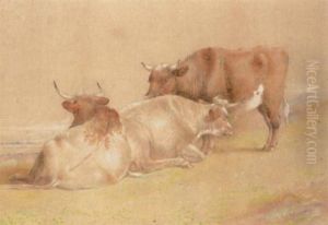 Cattle Cattle