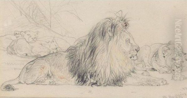 Study Of A Lion And His Pride - view 1