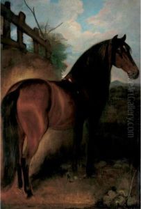 A Bay Stallion In A Landscape