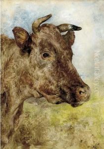 The Head Of A Cow The Head Of A Cow