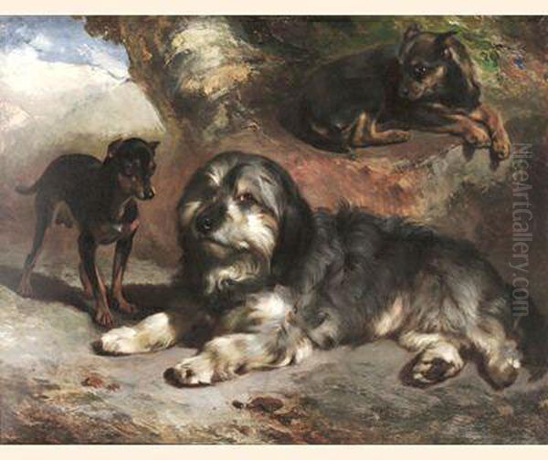Faithful Friends, A Border Collie And Two Terriers In Alandscape - view 1