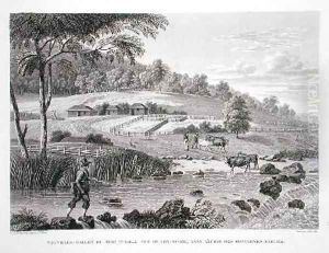 New South Wales New Holland by Marchais, Pierre Antoine