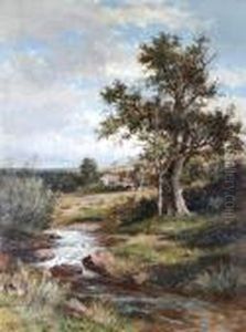 View Near Brading, Isle Of Wight