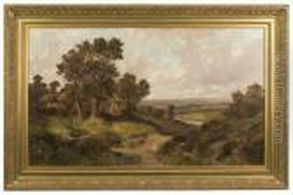 Near Haslemere Surrey - view 1