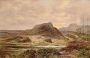 An Extensive Moorland Landscape