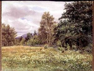 Meadow-sweet near Polchar Aviemore Scotland 1905 by Gertrude Martineau