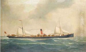 The British steamer Aldgate in the Channel by John Henry Mohrmann