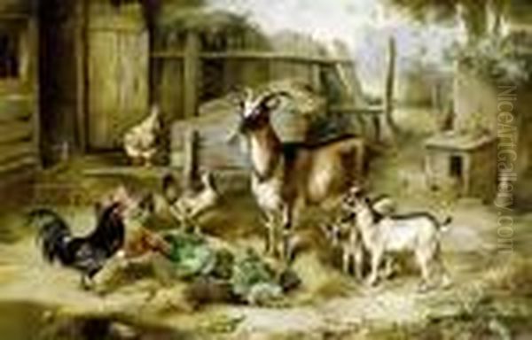Goats And Chickens In A Farmyard - view 1