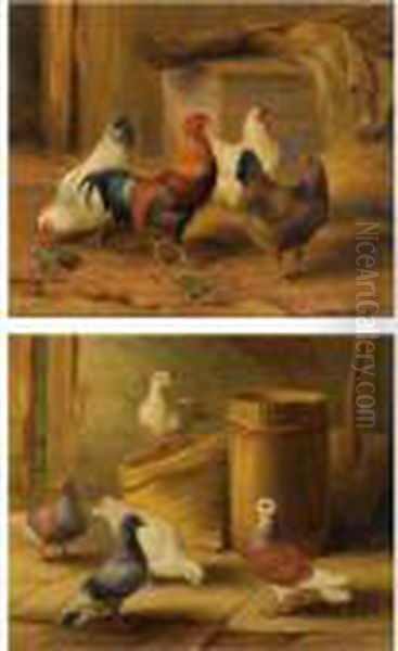 Chickens - view 1